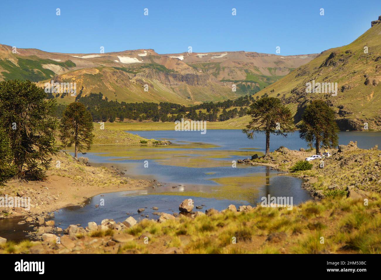 Laguna blu con montagne sul retro e alberi di pehuen a Caviahue, Neuquén, Argentina Foto Stock
