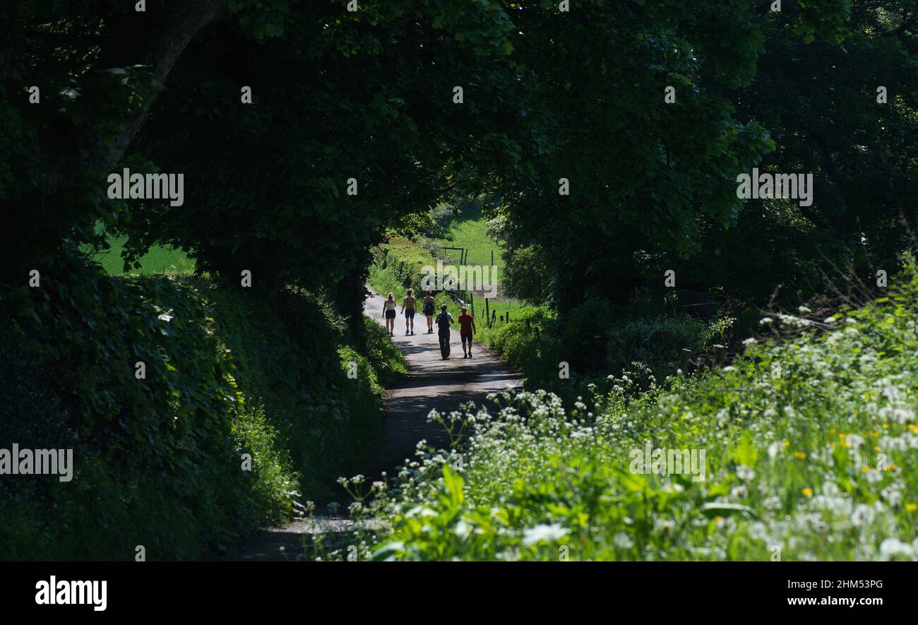 In un caldo giorno d'estate un gruppo di cinque persone, sia maschili che femminili, passeggia lungo un sentiero di campagna che passa attraverso un arco di alberi sovrastanti. Foto Stock