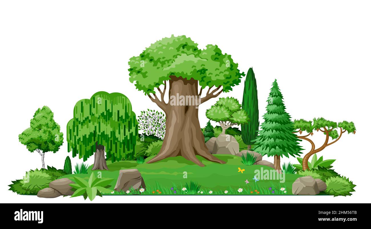 Set di alberi di pianta per disegno di paesaggio. Grafica vettoriale. Isola e lago. Carino fata foresta o parco. Illustrazione Vettoriale