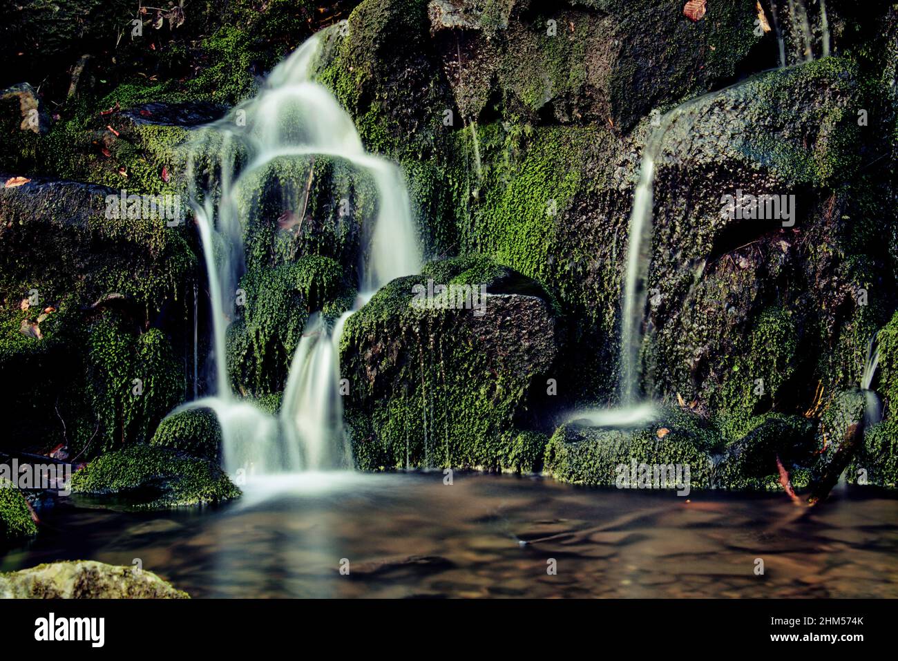 piccola cascata nella foresta con rocce verdi e acqua corrente limpida Foto Stock