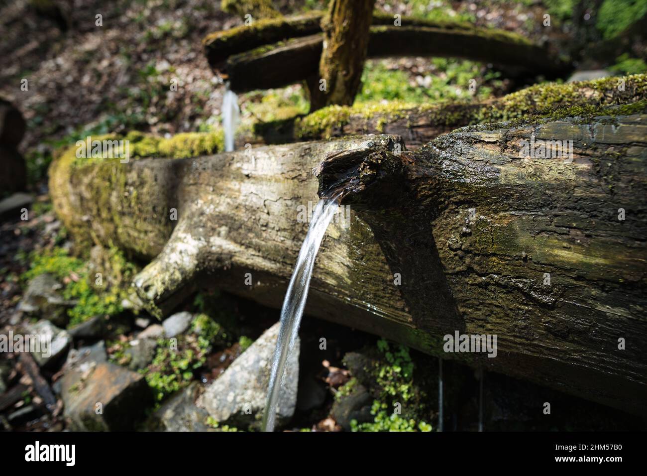 bella fontana in legno nella foresta Foto Stock