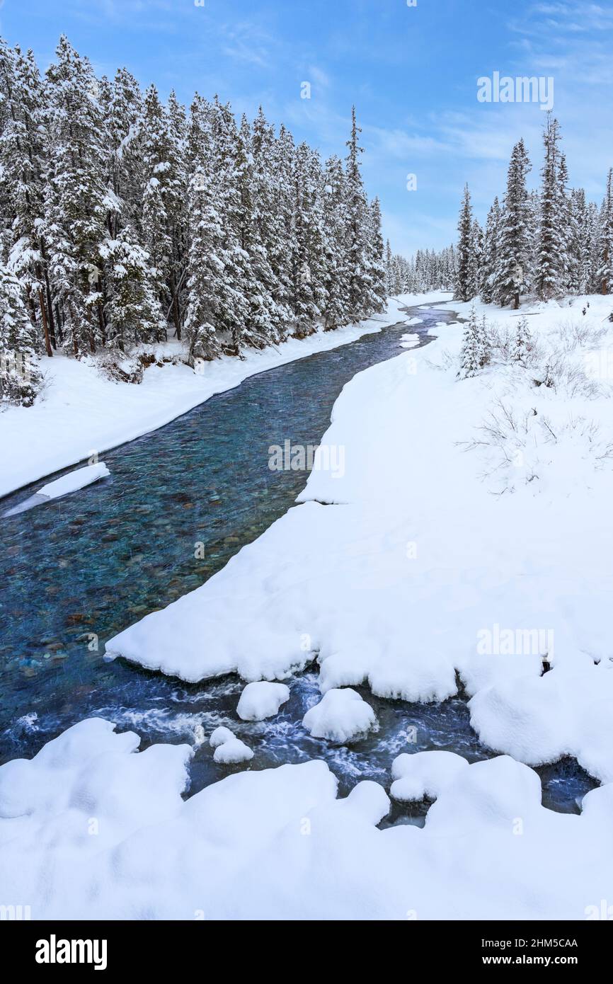 Un piccolo ruscello nella foresta invernale vicino al lago Louise, Banff National Park, Alberta. Foto Stock