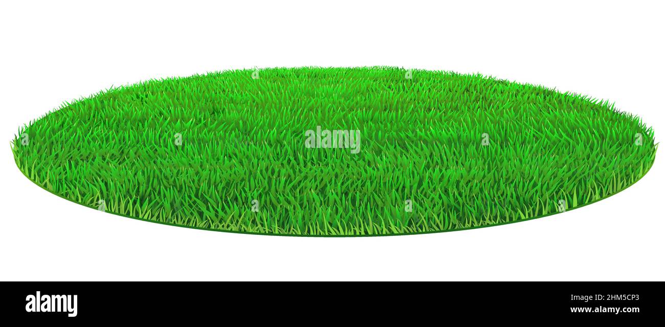 Vettore ovale verde erba erba texture Illustrazione Vettoriale