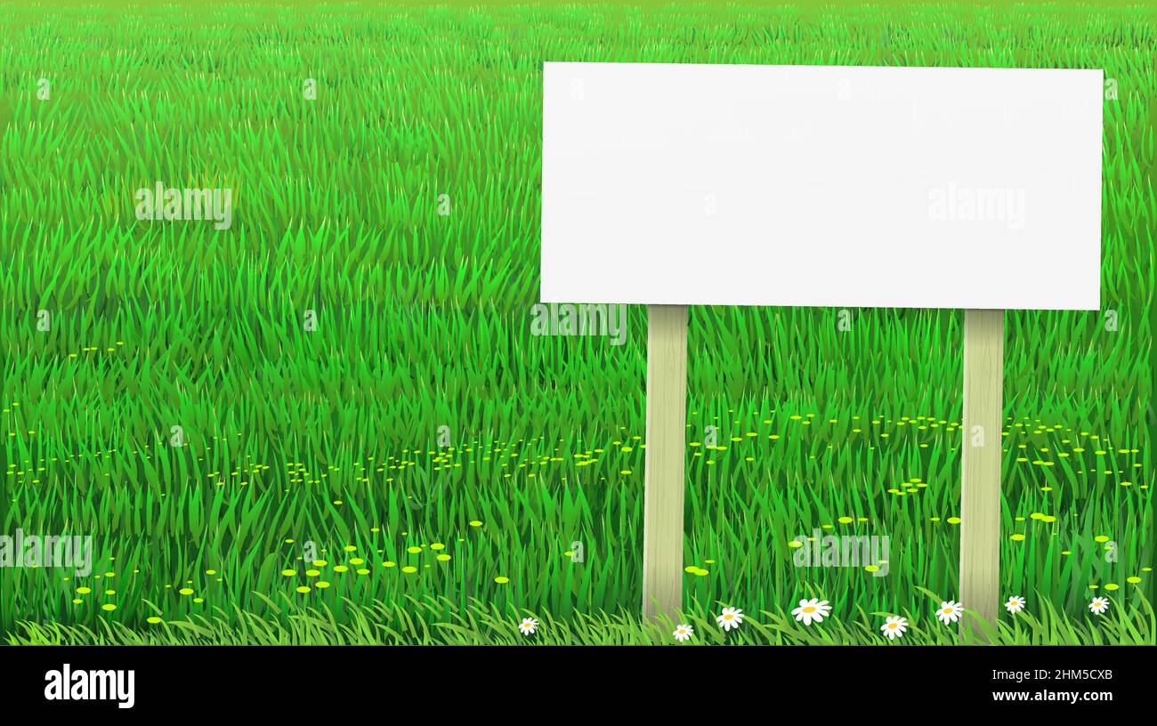 Banner erba verde vettoriale Illustrazione Vettoriale