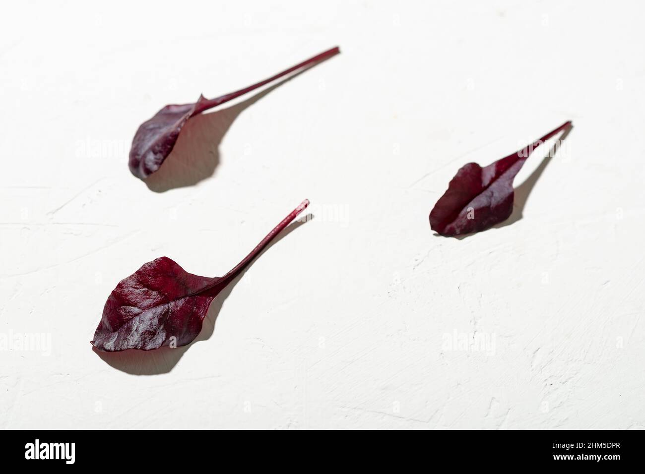 Tre foglie di lattuga rossa su un piatto bianco. Concetto di vegetarianismo. Cibo sano e sano. Minimalismo. Foto Stock
