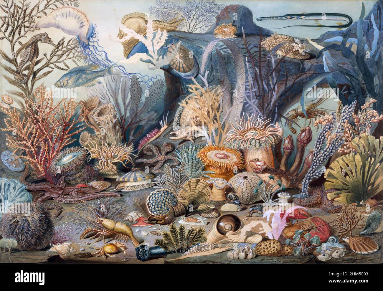 CHRISTIAN SCHUSSELE (1824-1879) artista americano. Stampa del suo acquerello Ocean Life dipinta circa 1859. La pittura originale si trova nel New York Metropolitan Museum of Art Foto Stock