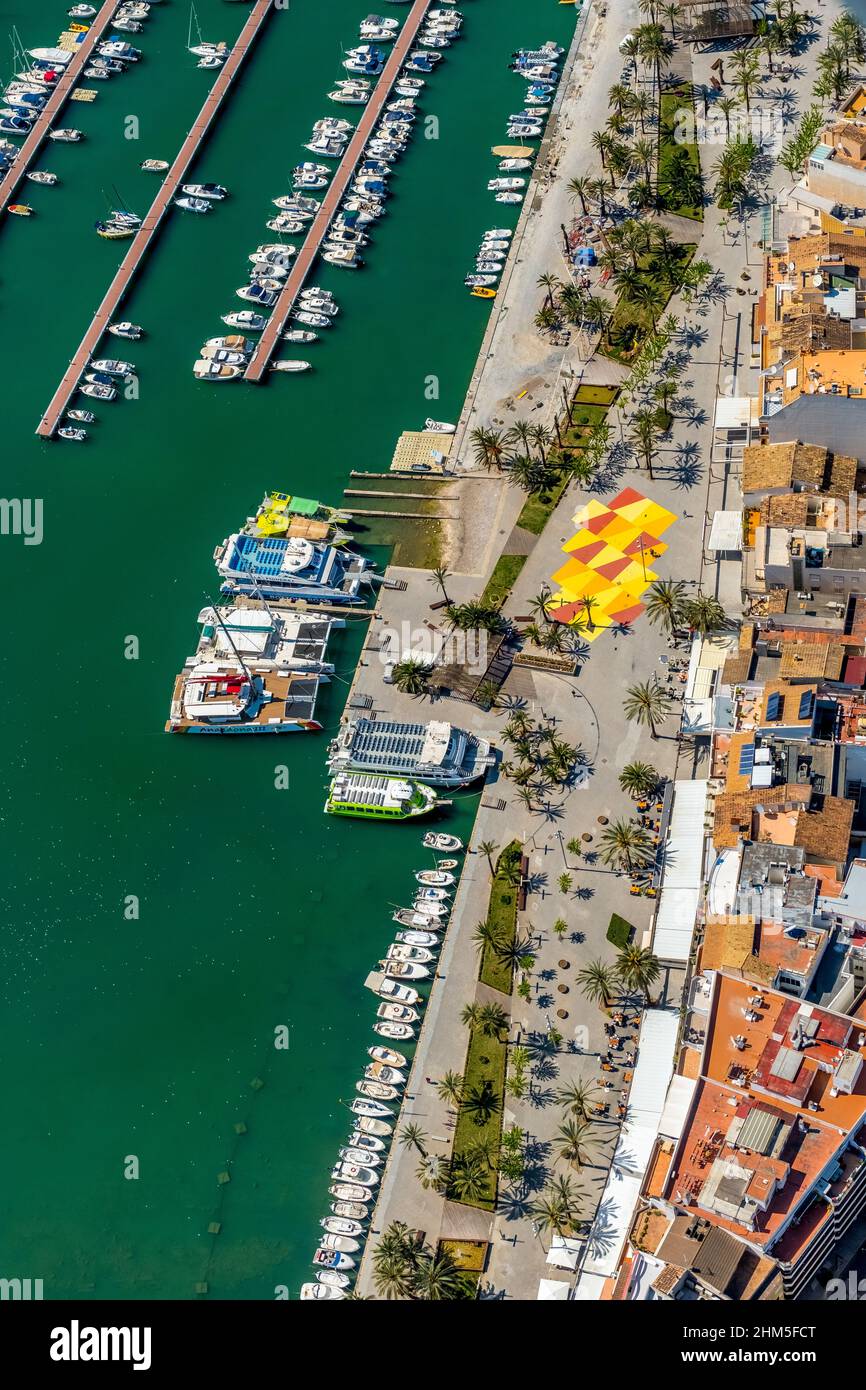 Vista aerea, porto di Alcudia, porto turistico, barche a vela, Port d'Alcúdia, Acque turchesi, Alcudia, Pla de na tesa, Cabaneta (SA), Maiorca, Isole Baleari, B. Foto Stock