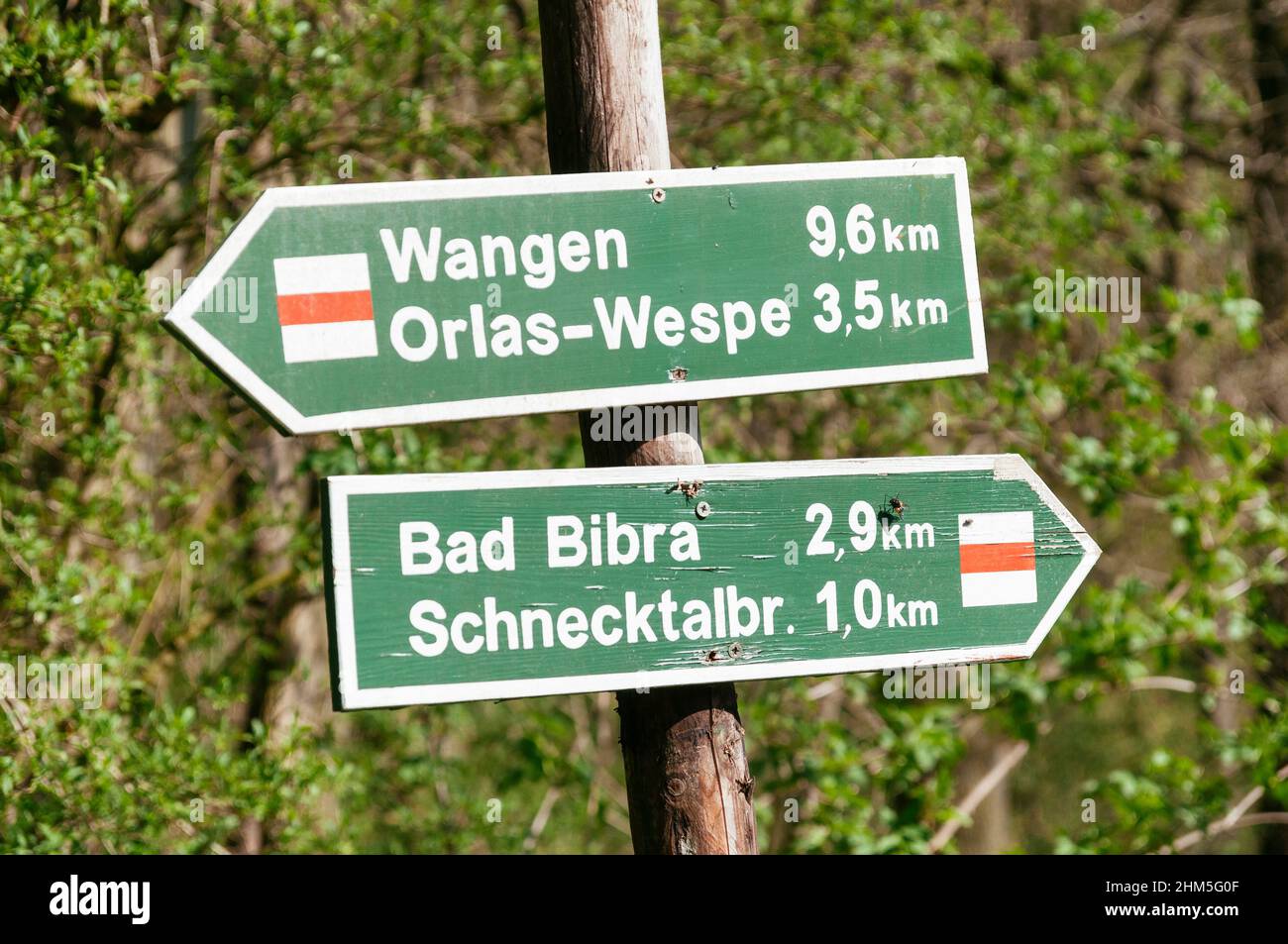 Cartelli escursionistici nel Saubachtal vicino a Bad Bibla nel distretto di Burgenlandkreis, in Sassonia-Anhalt, Germania Foto Stock