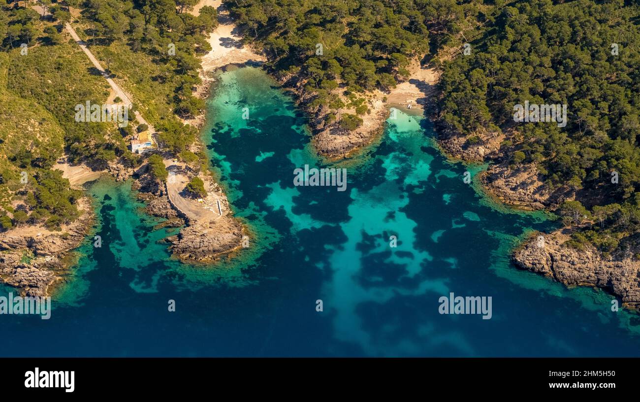 Vista aerea, penisola di Cap de Pinar, zona riservata, s'Esgleieta, baie piccole, baia balneabile, Natura selvaggia, Son Espanyol, Mallorca, Isole Baleari, Bale Foto Stock