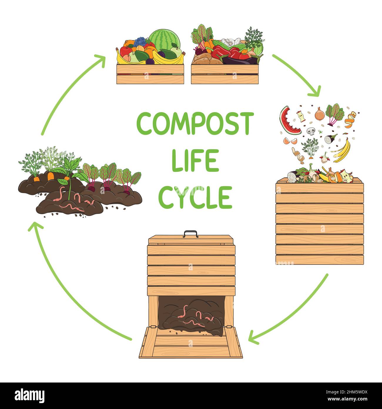 Infografica del cerchio di vita del composto. Ridurre in concime organico processo. Schema di riciclaggio di rifiuti organici dalla raccolta scarti di cucina per l'uso di compost per l'agricoltura. Illustrazione Vettoriale