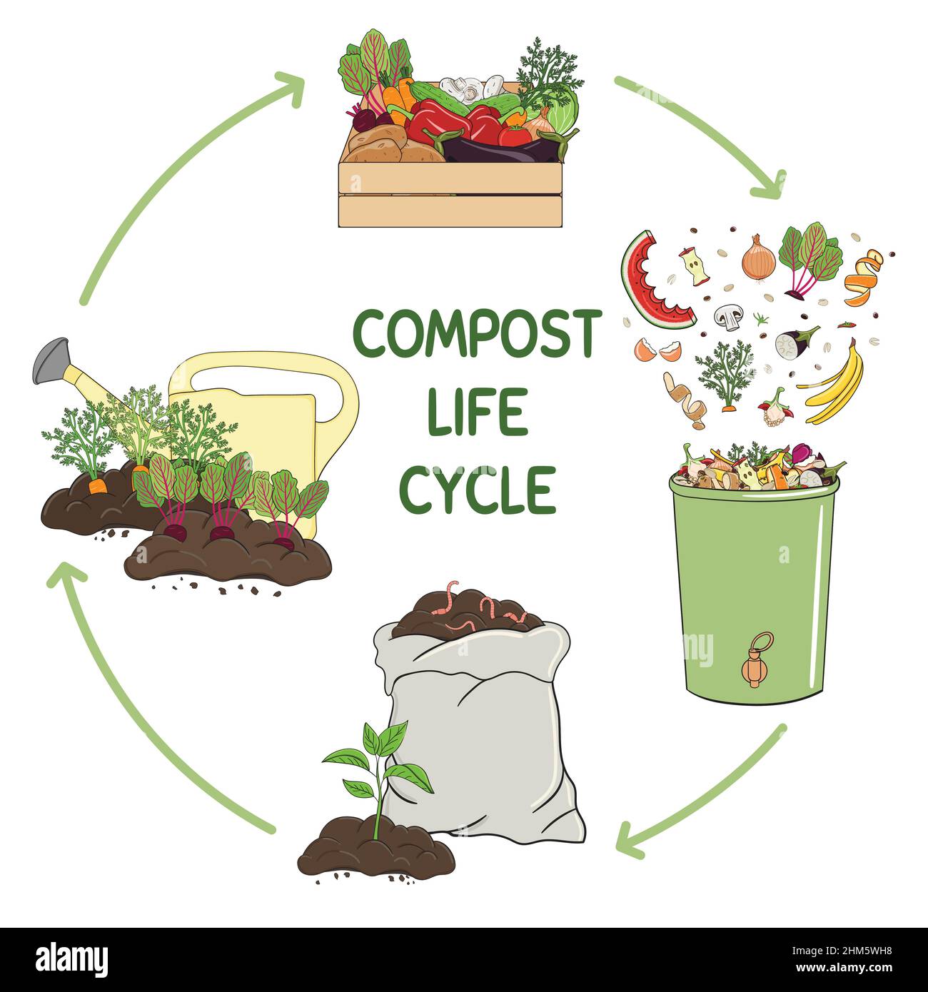 Infografica del cerchio di vita del composto. Ridurre in concime organico processo. Schema di riciclaggio di rifiuti organici dalla raccolta scarti di cucina per l'uso di compost per l'agricoltura. Illustrazione Vettoriale