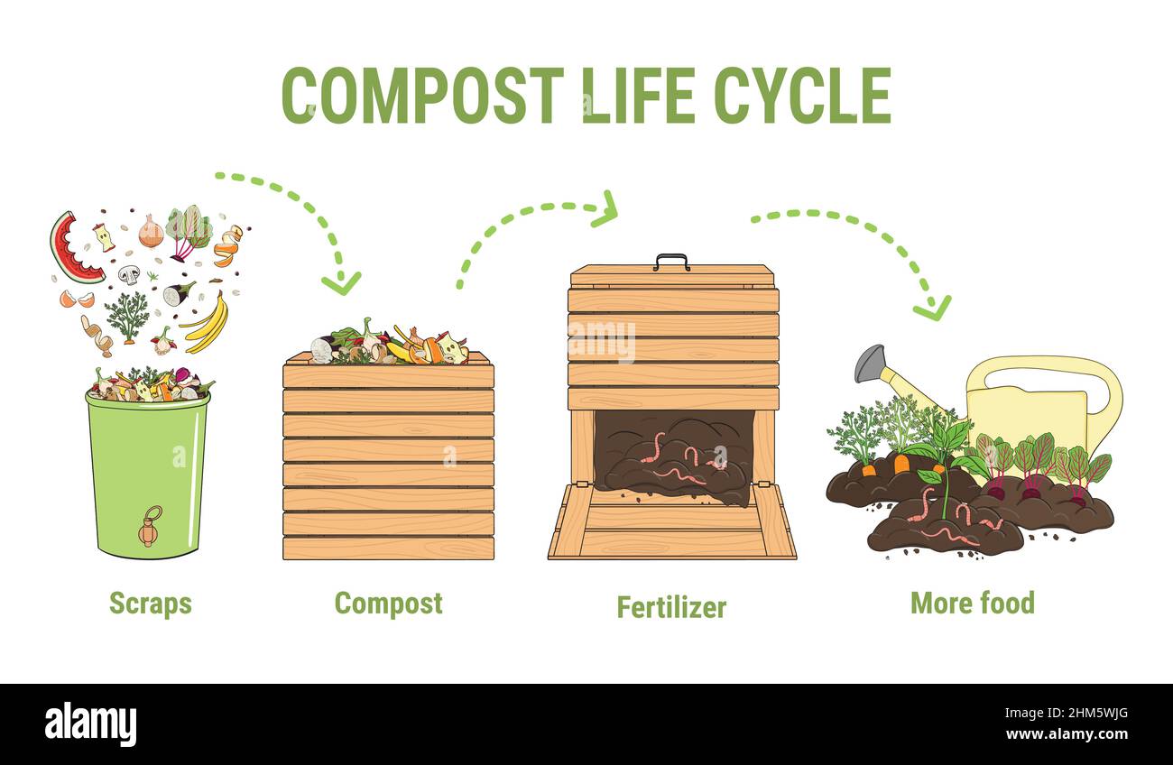 Infografica del cerchio di vita del composto. Ridurre in concime organico processo. Schema di riciclaggio di rifiuti organici dalla raccolta scarti di cucina per l'uso di compost per l'agricoltura. Illustrazione Vettoriale
