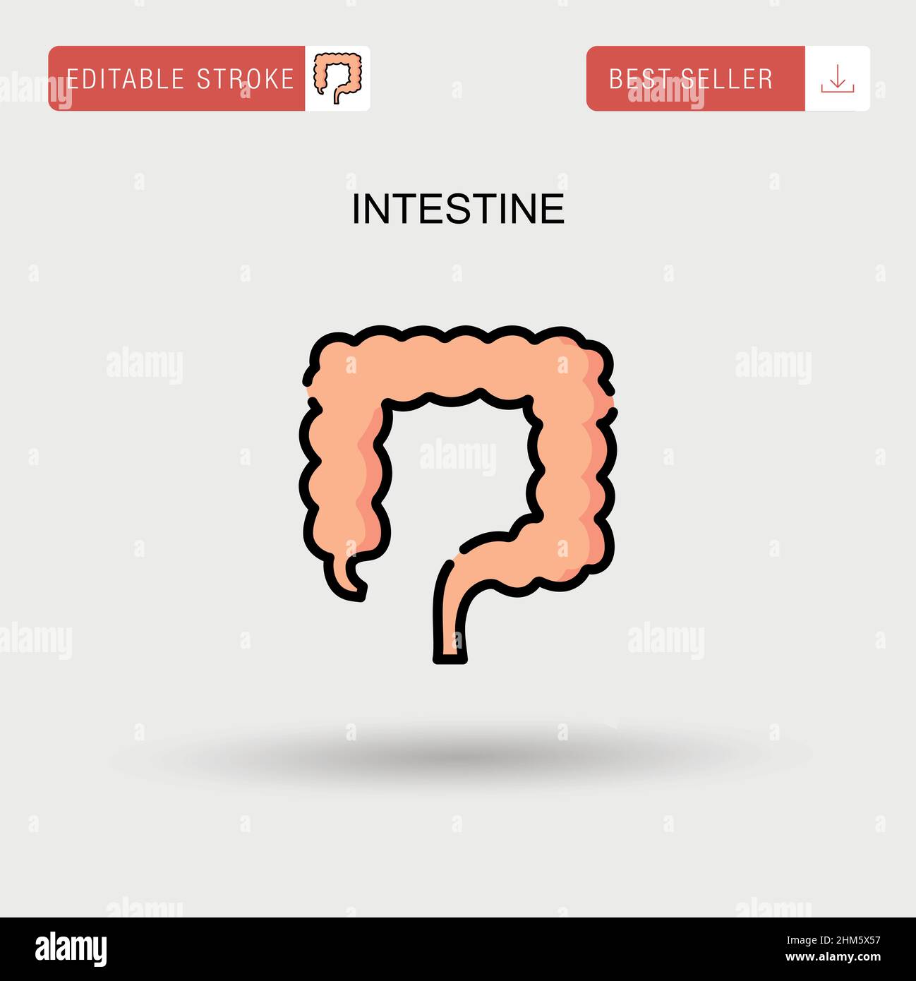 Icona vettore semplice dell'intestino. Illustrazione Vettoriale
