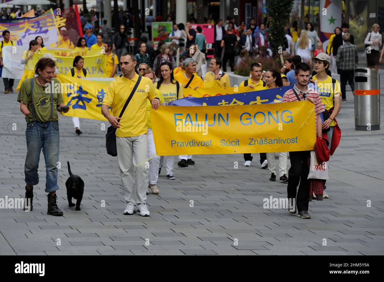 Vienna, Austria. Maggio 01, 2011. Dimostrazione di Falun Dafa a Vienna Foto Stock