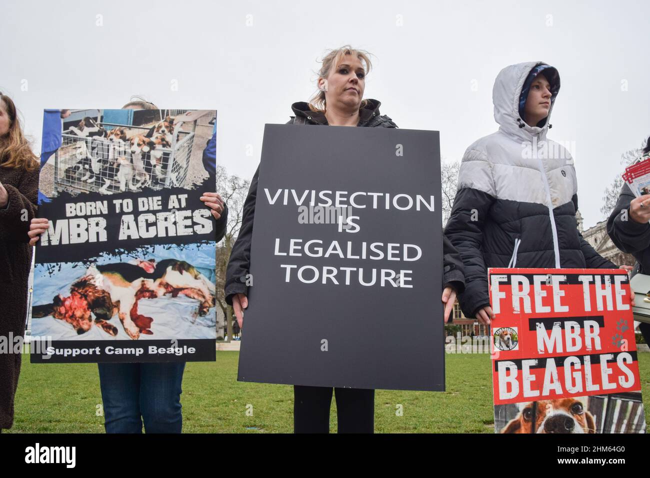 Londra, Regno Unito. 07th Feb 2022. Gli attivisti detengono acri grafici anti-MBR e cartelli anti-vivisezione durante la protesta. Gli attivisti per i diritti degli animali si sono riuniti in Piazza del Parlamento per chiedere la fine degli esperimenti sugli animali e la chiusura dell'impianto di allevamento di aquile di MBR Acres, E a sostegno di un cambiamento nella legge per includere gli animali da laboratorio nel Animal Welfare Act, che il governo stava discutendo. Credit: SOPA Images Limited/Alamy Live News Foto Stock