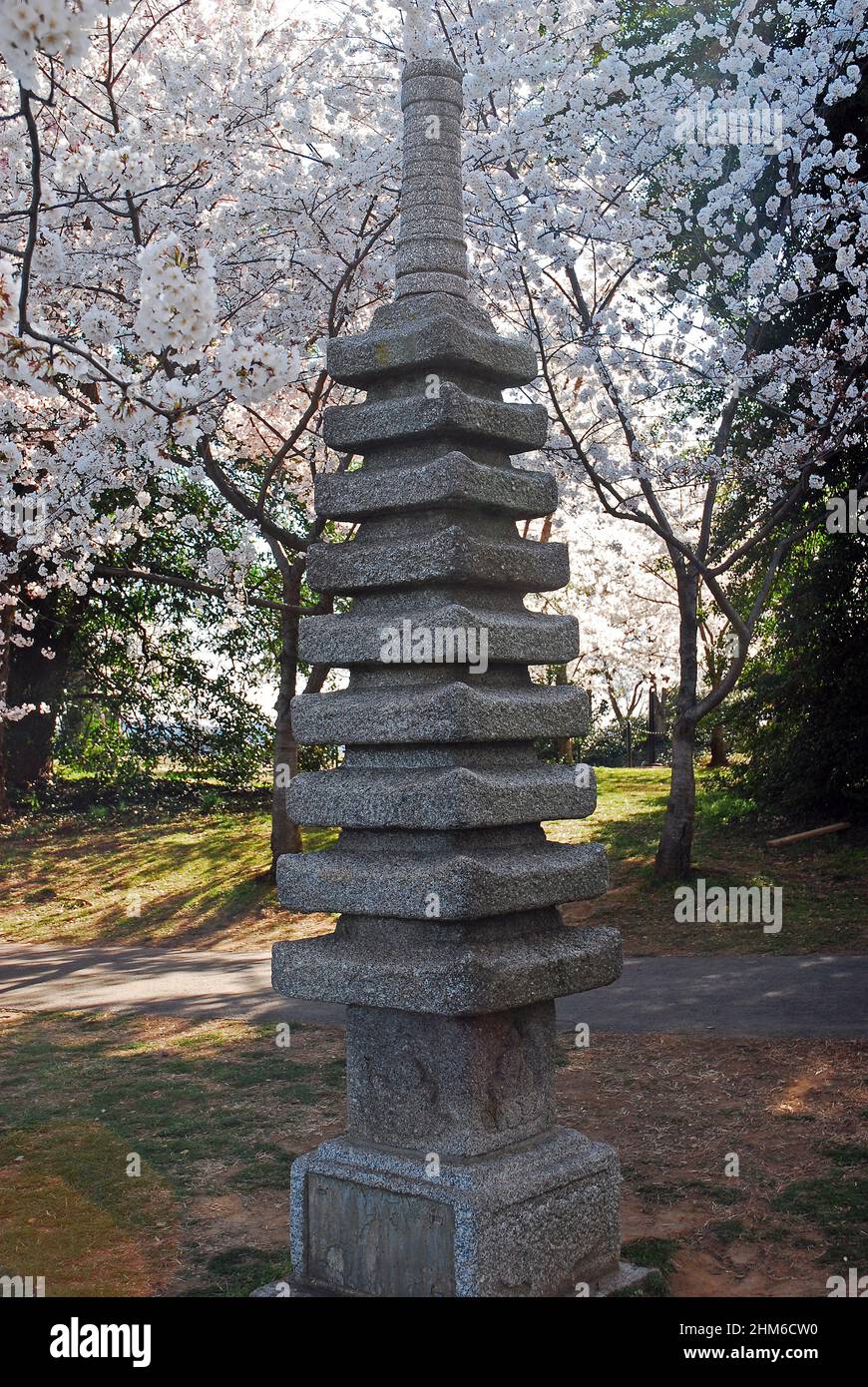 Una scultura di pagoda giapponese si trova tra i fiori di ciliegio a Washington, DC Foto Stock