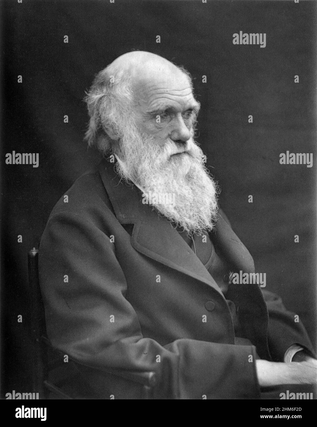 Ritratto dello scrittore inglese e fondatore della teoria della selezione baturale, Charles Darwin dal 1878 quando aveva 69 anni. Foto Stock