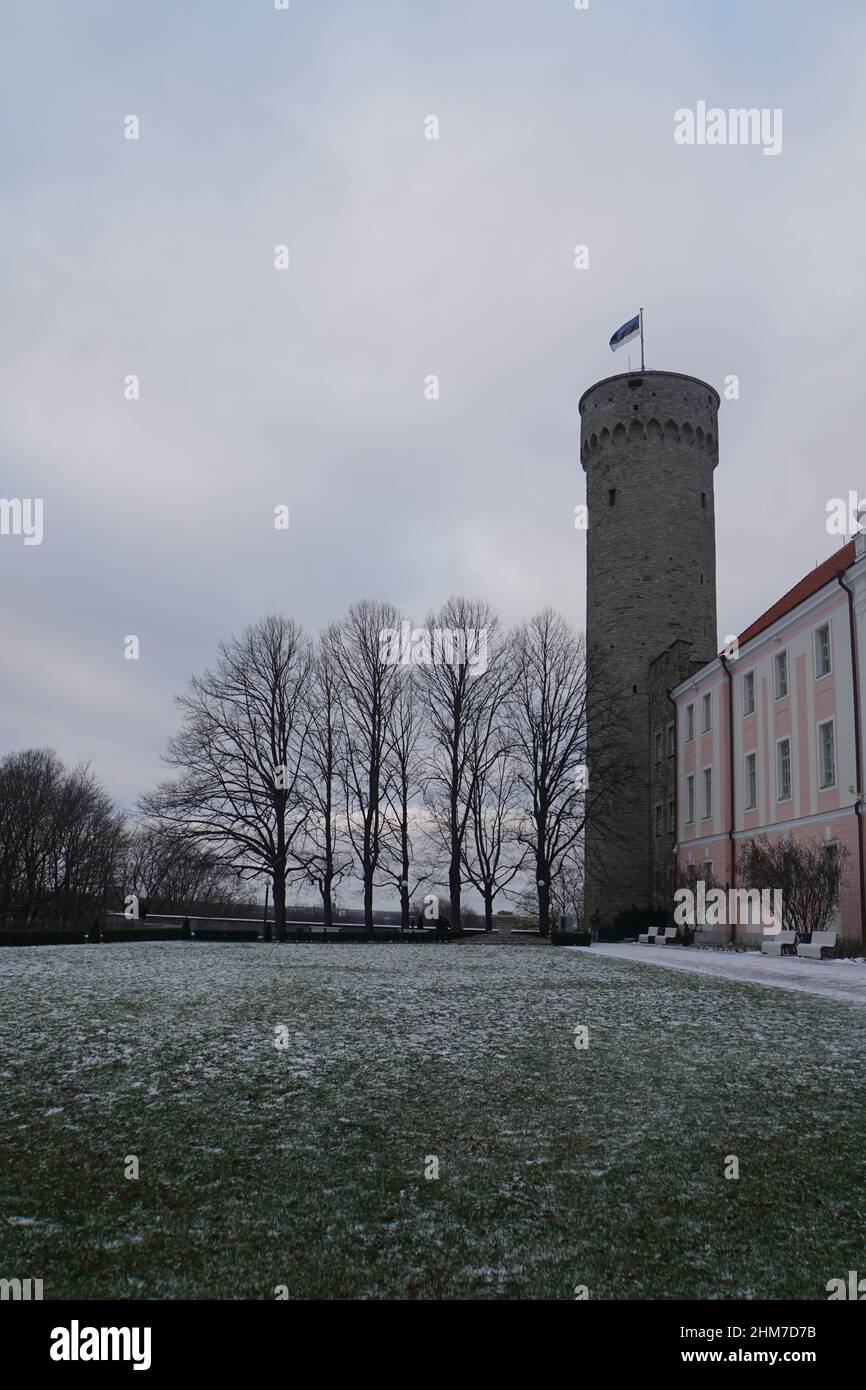 Castello di Tallin Foto Stock