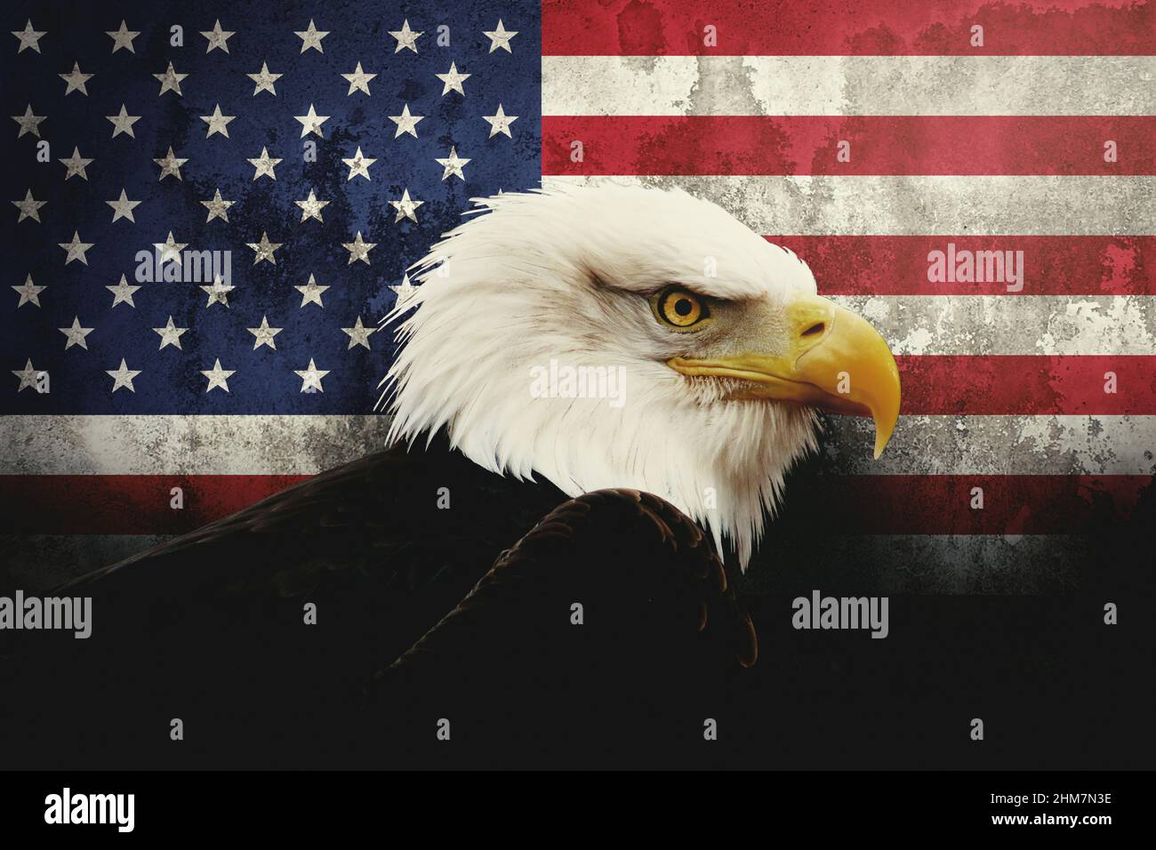 Aquila calva sopra la bandiera americana Foto Stock