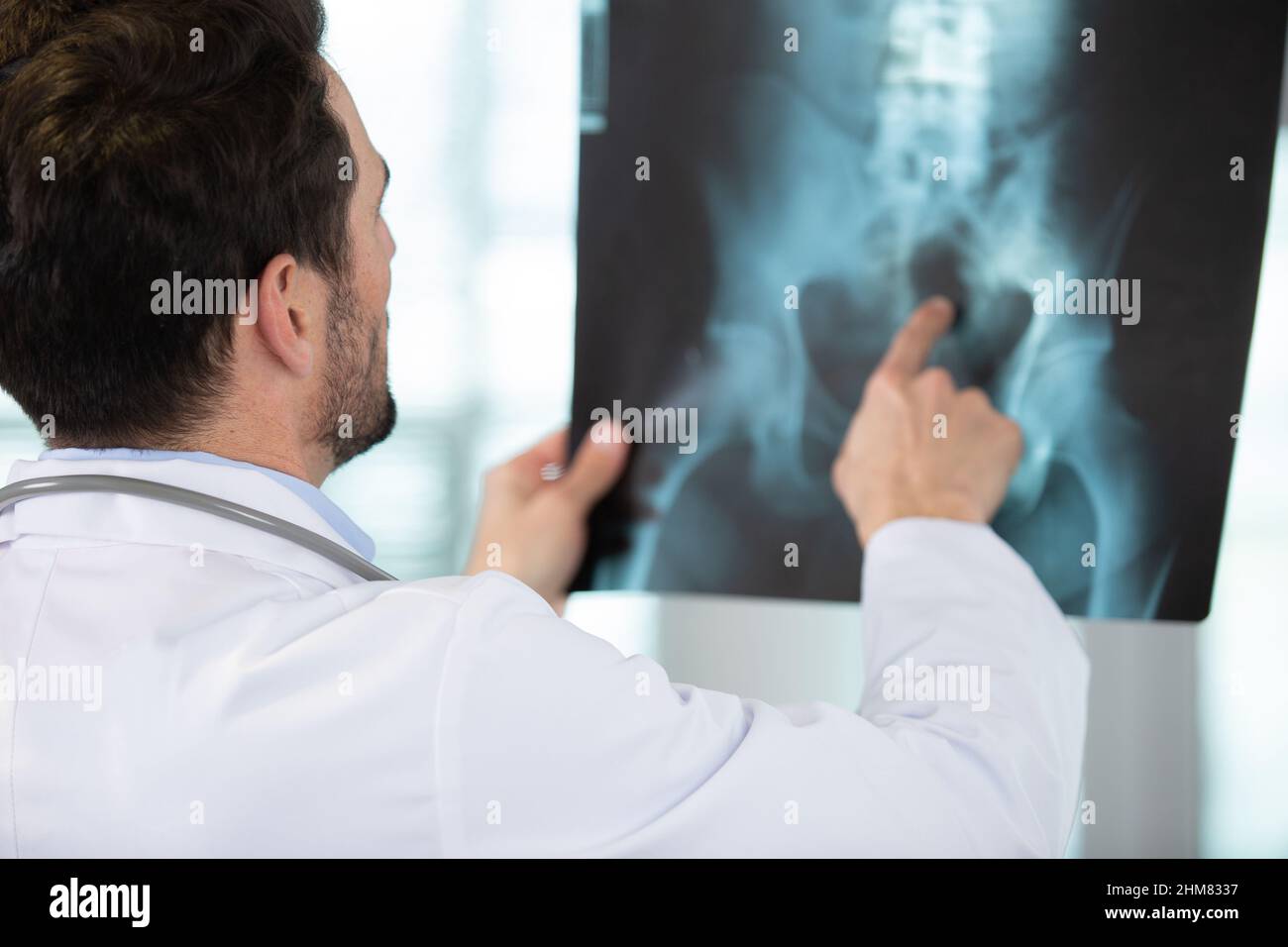 il medico maschio punta ai raggi x pelvici Foto Stock