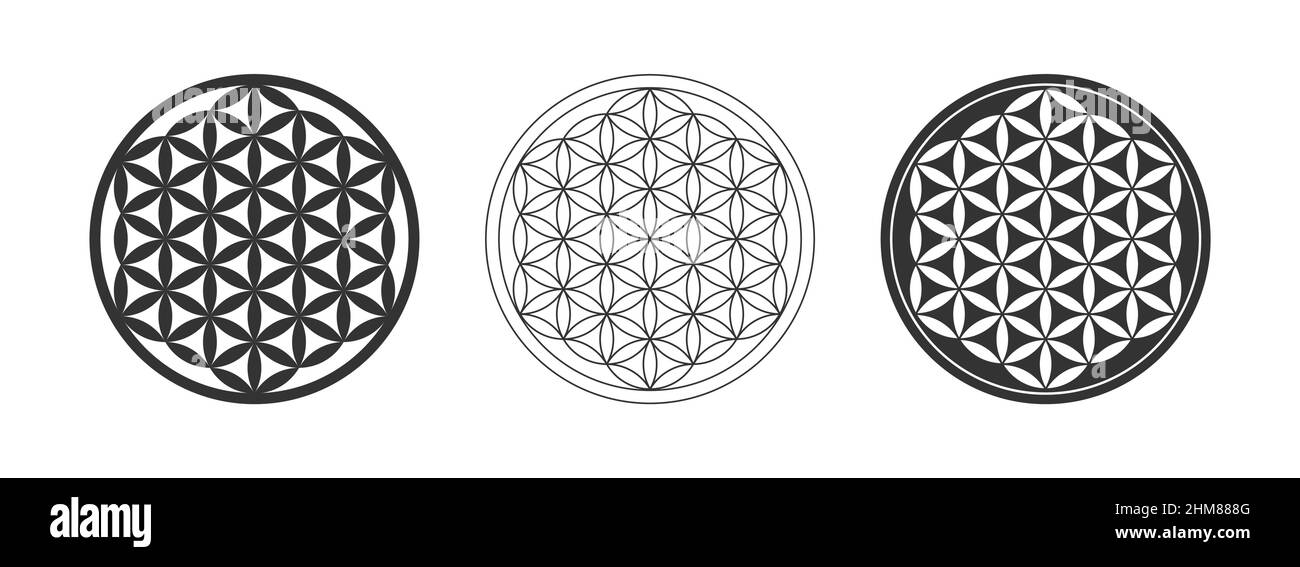 Set di simboli del fiore della vita. Forma geometrica sacra. Griglia di  cerchi sovrapposti. Simbolo della creazione e dell'unità. Figura che  rappresenta il ciclo di vita Immagine e Vettoriale - Alamy