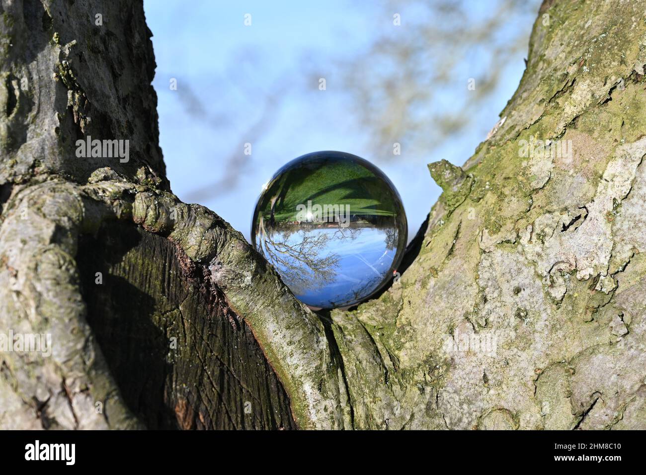Ambiente concetto, una sfera di cristallo si trova nei rami di un albero, riflesso del paesaggio. Concetto e tema della natura, protezione ambientale Foto Stock