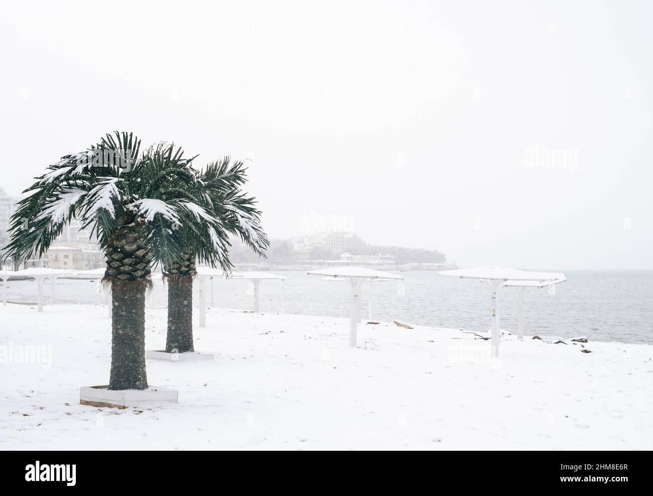 Paesaggio urbano di Gelendzhik. Vista sulla spiaggia centrale con palme e la baia della città del Mar Nero durante una nevicata. Foto Stock