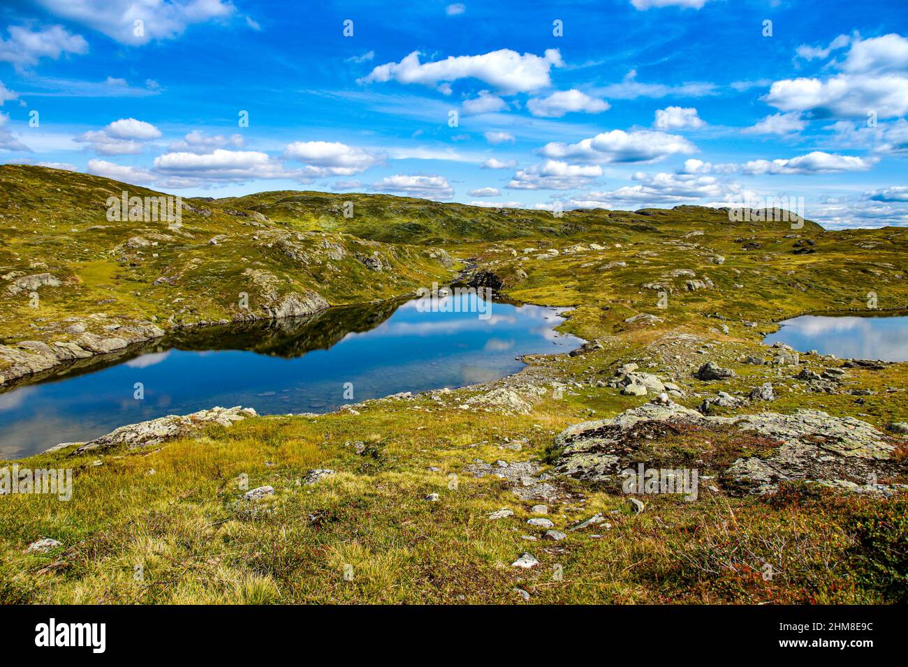 Laghi con il cielo estivo riflessi nell'acqua pura sulle colline delle Highlands norvegesi, altopiano Hardanger, Hardangervidda Nationalpark, Norvegia. Foto Stock