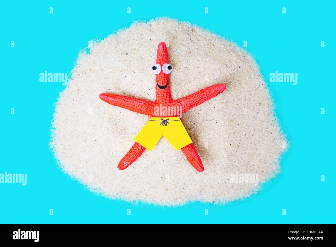 Divertente stella di mare che si gode una vacanza di spiaggia sabbiosa. Foto Stock