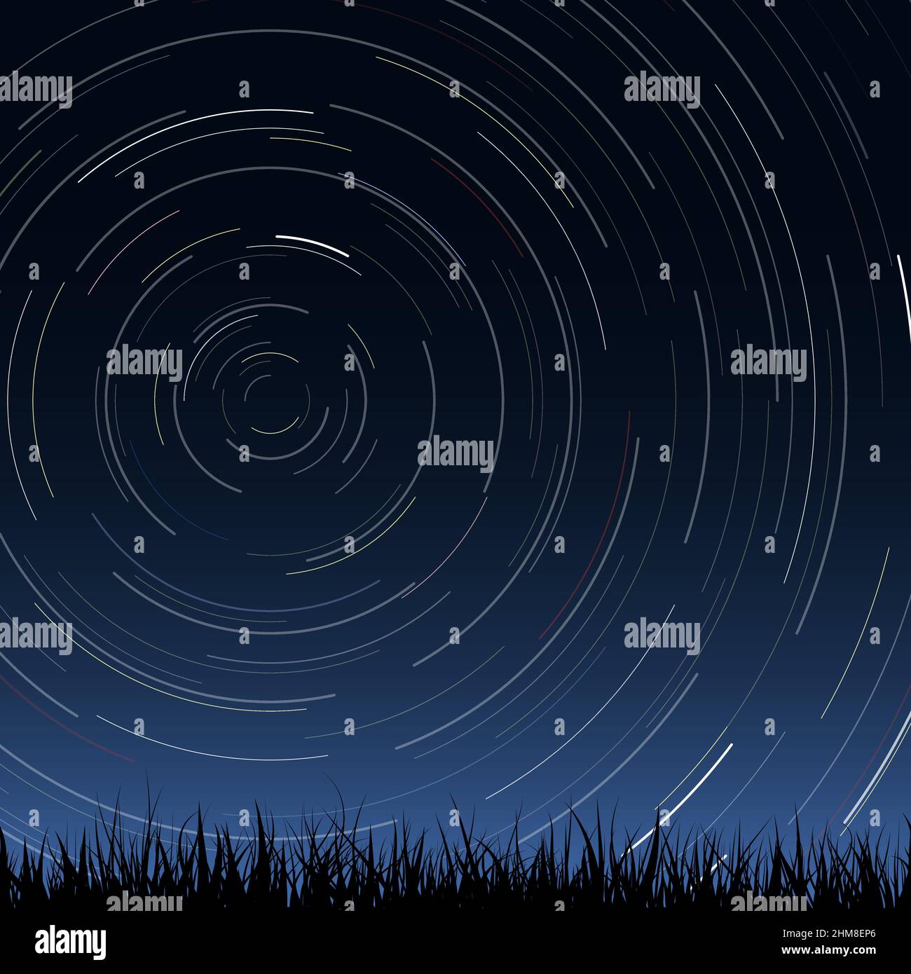 Cielo notturno con sentieri stellari e erba Illustrazione Vettoriale