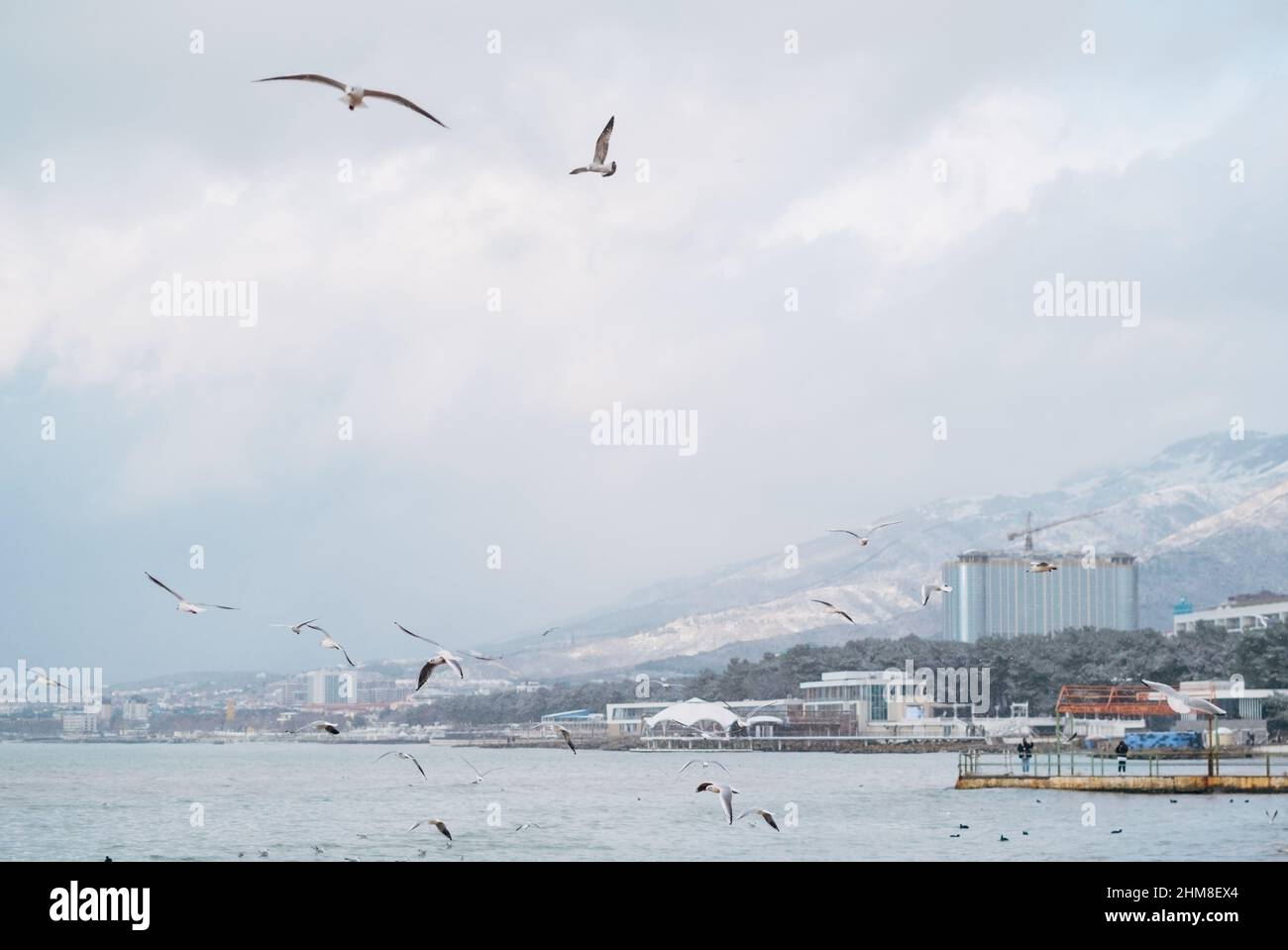 Spiaggia della città durante la stagione invernale, in distanza Markotkh Range. I gabbiani volano in primo piano. Foto Stock