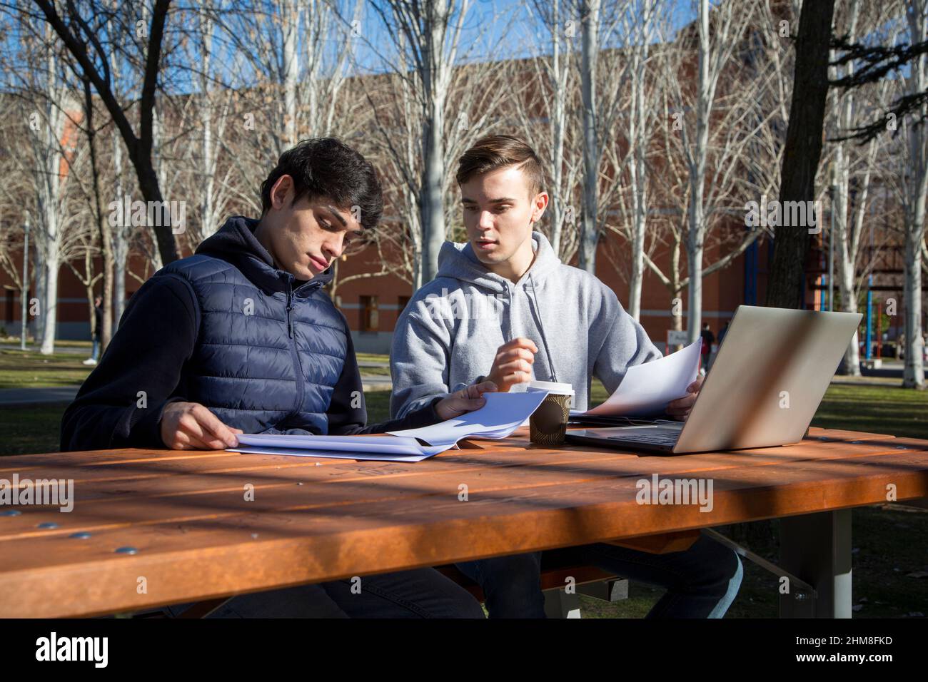 Due giovani studenti universitari che studiano in un giardino universitario con un computer portatile e documenti. Foto Stock