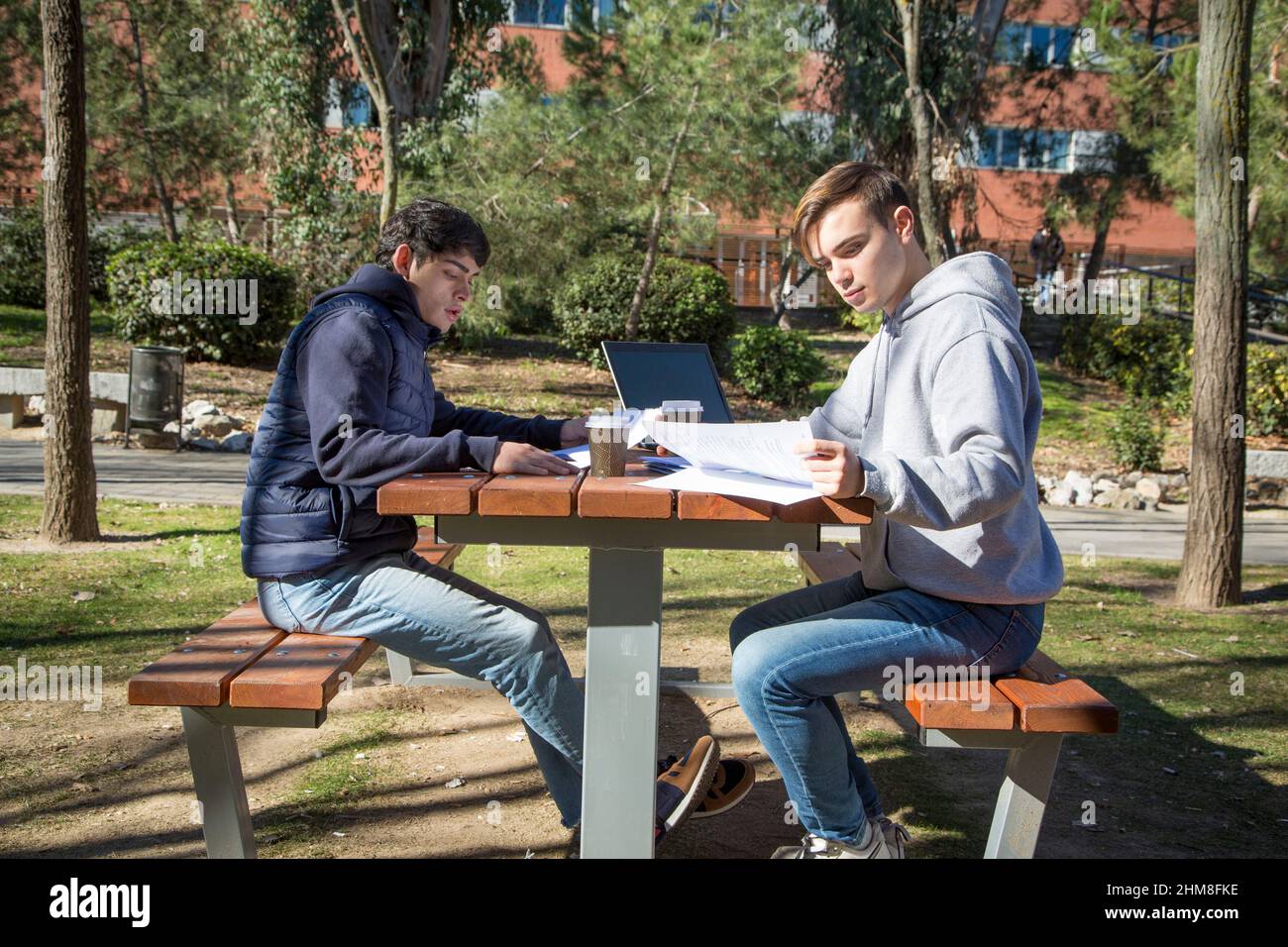 Due giovani studenti universitari che studiano in un giardino universitario con un computer portatile e fogli di carta. Foto Stock