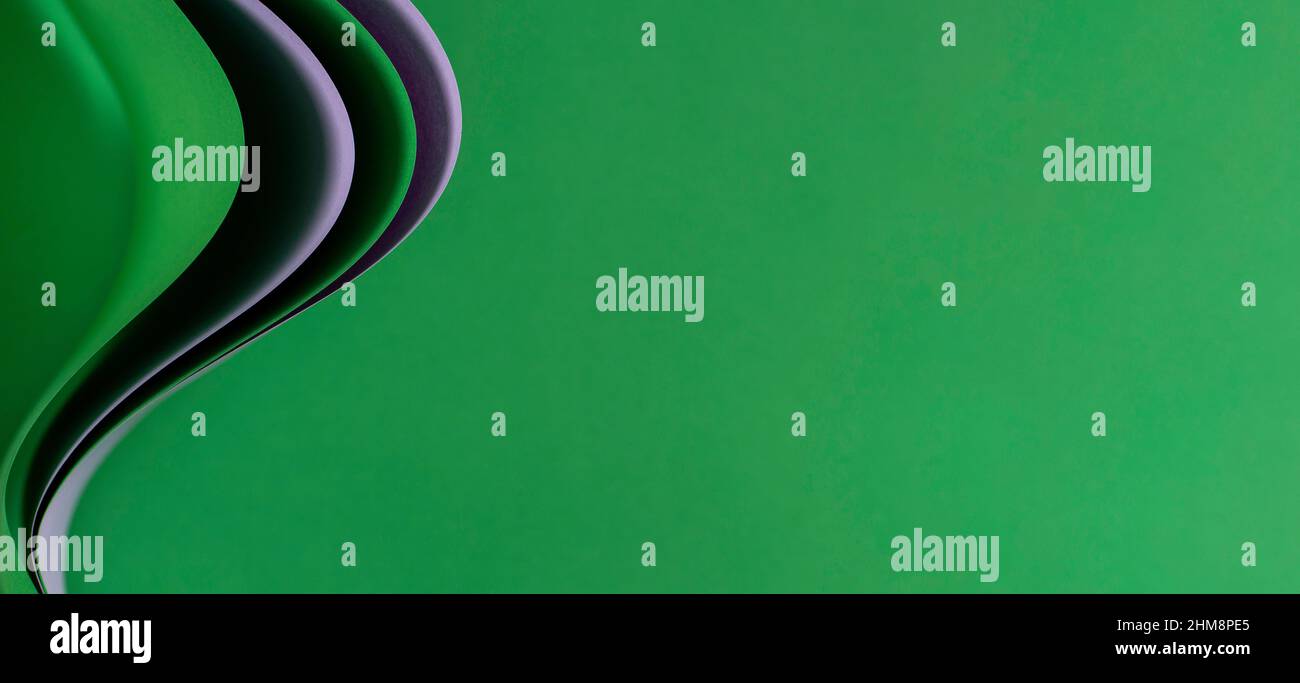 Sfondo del banner di composizione della geometria della carta colorata astratta. Linee e forme curve di colore viola e verde su sfondo verde Foto Stock
