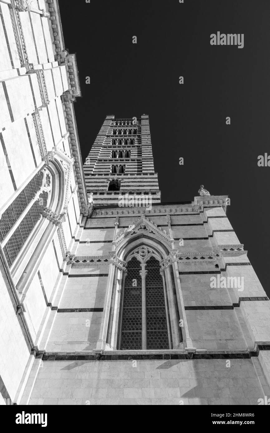 Vista dal basso del campanile del duomo di Siena in b&n, Toscana, Italia Foto Stock