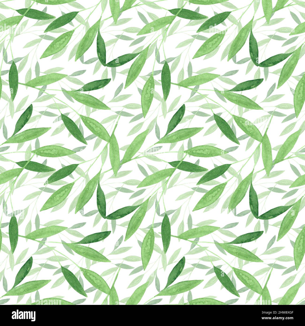 Acquerello foglie modello, senza cuciture sfondo verde, carta da parati botanica tessile, disegno a mano ripetizione sfondo, ornamento Foliage, stampa primaverile Foto Stock