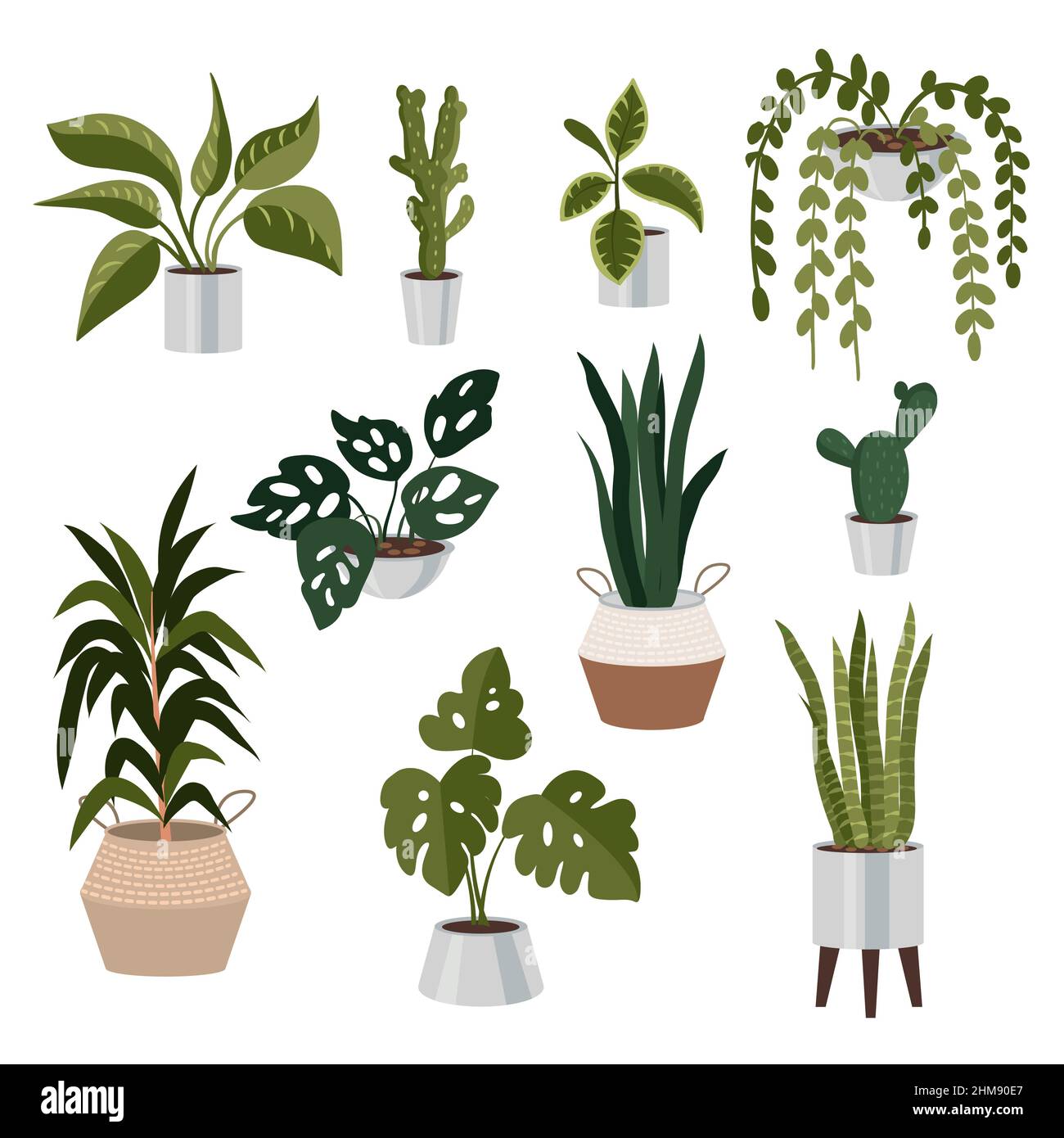 Collezione di piante per la casa e l'ufficio in eleganti pentole. Illustrazione vettoriale. Illustrazione Vettoriale