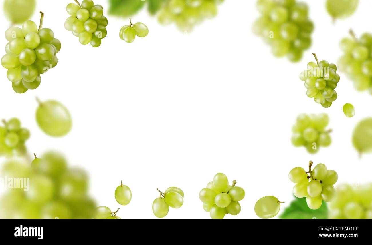 Fondo con uva e foglie. Le uve verdi volano su sfondo verde. Illustrazione vettoriale realistica. Illustrazione Vettoriale