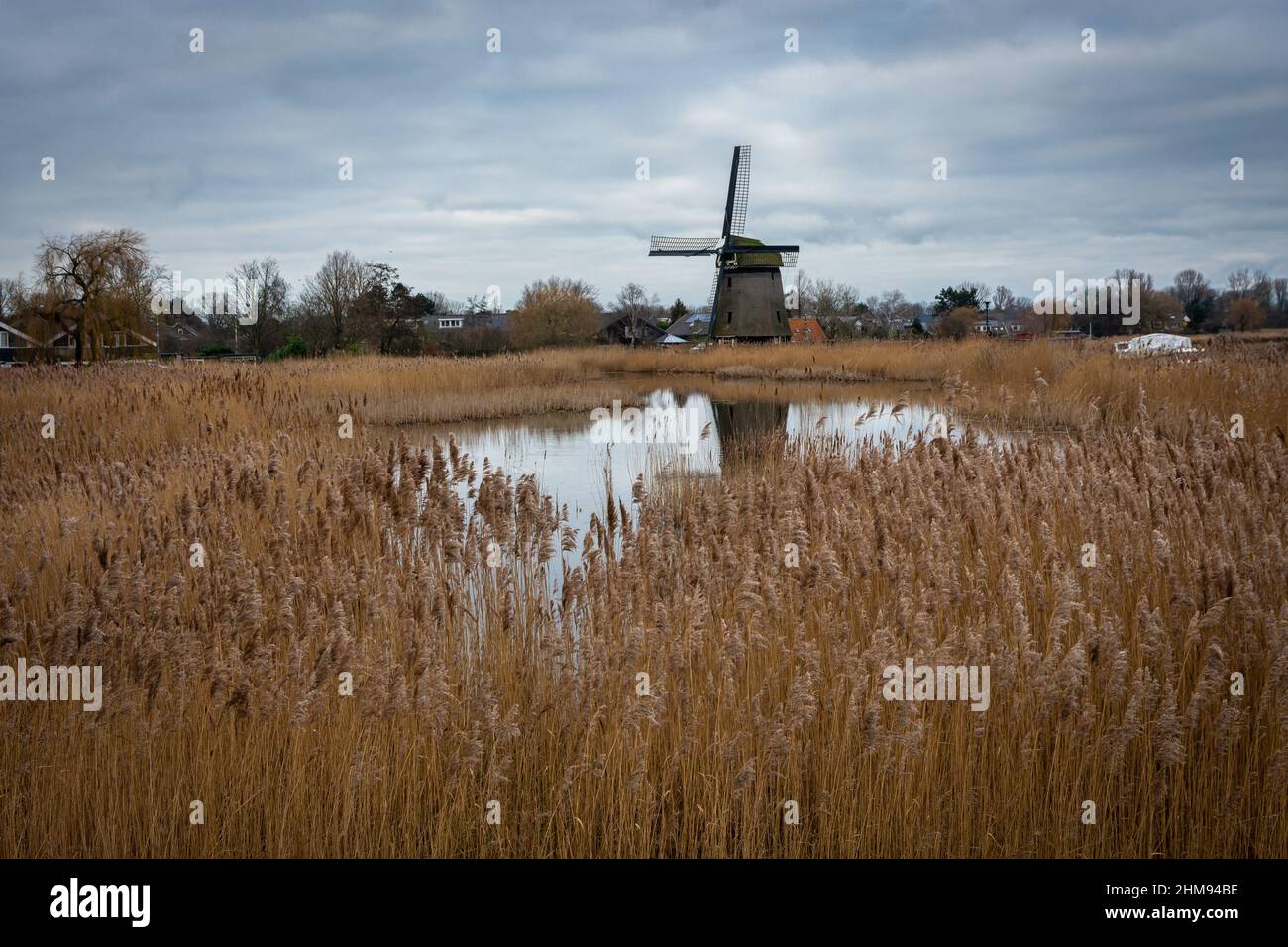 Bella vista del mulino a vento olandese storico in Alkmaar dal lago e canna Foto Stock