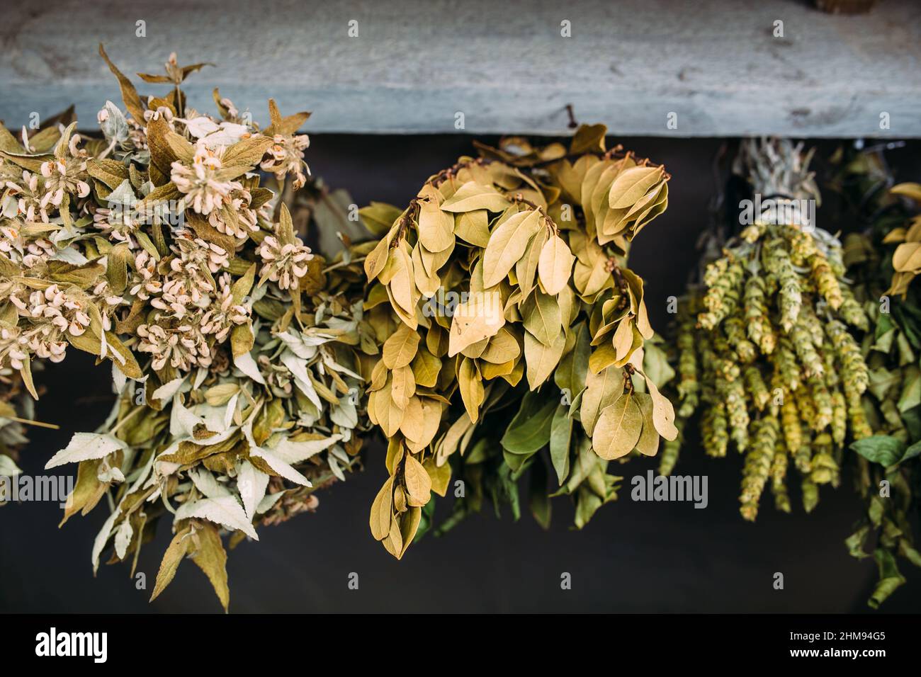 Mazzi di piante medicinali secche. Foglie di baia, limongrass sono asciugati Foto Stock