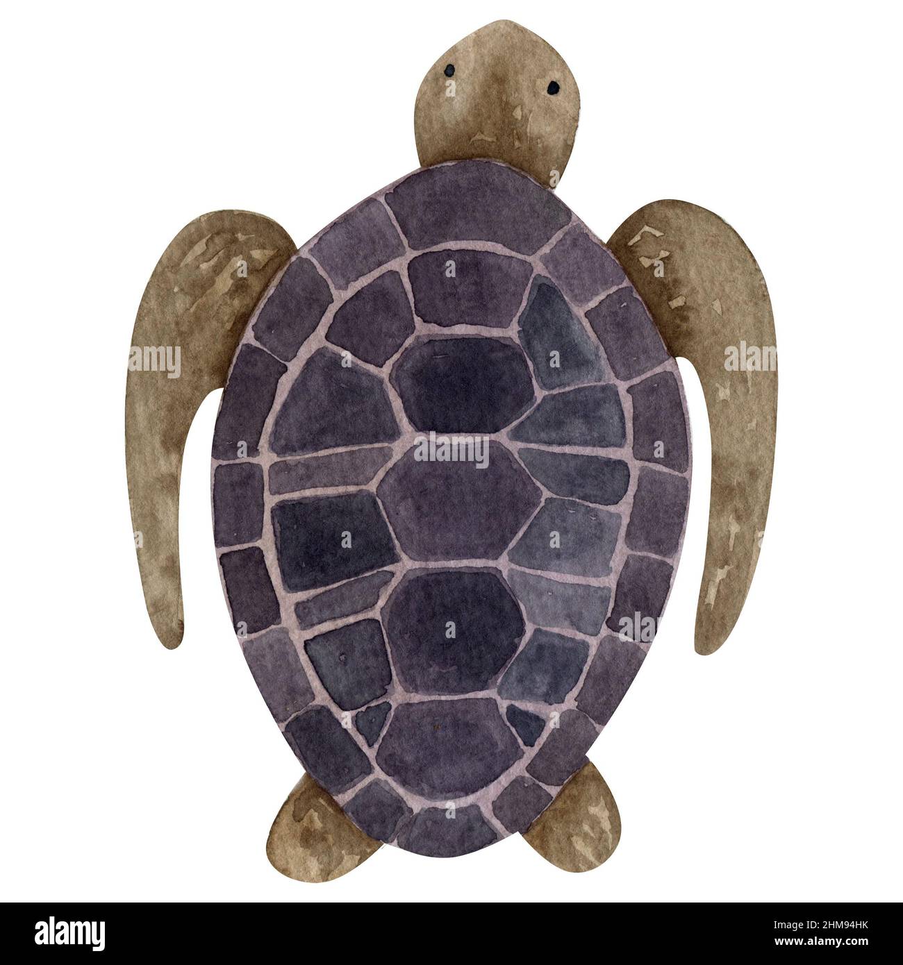 Illustrazione tartaruga acquerello su sfondo bianco, pittura vita marina, illustrazione creatura oceanica, arte animale subacquea, tartaruga marina isolata Foto Stock