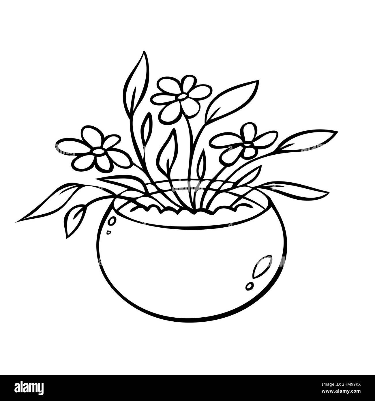 Pianta carina in un vaso di fiori. Illustrazione vettoriale di piante interne Illustrazione Vettoriale