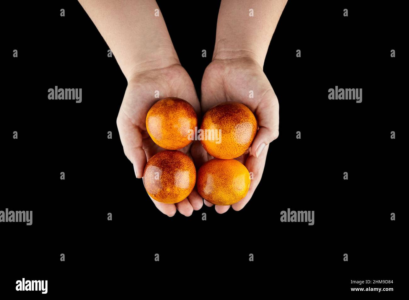 Arance di sangue (arance rosse) in mani isolate su sfondo nero, vista dall'alto. Persona che spezza una manciata di agrumi interi con scorza rossa gialla, selec Foto Stock