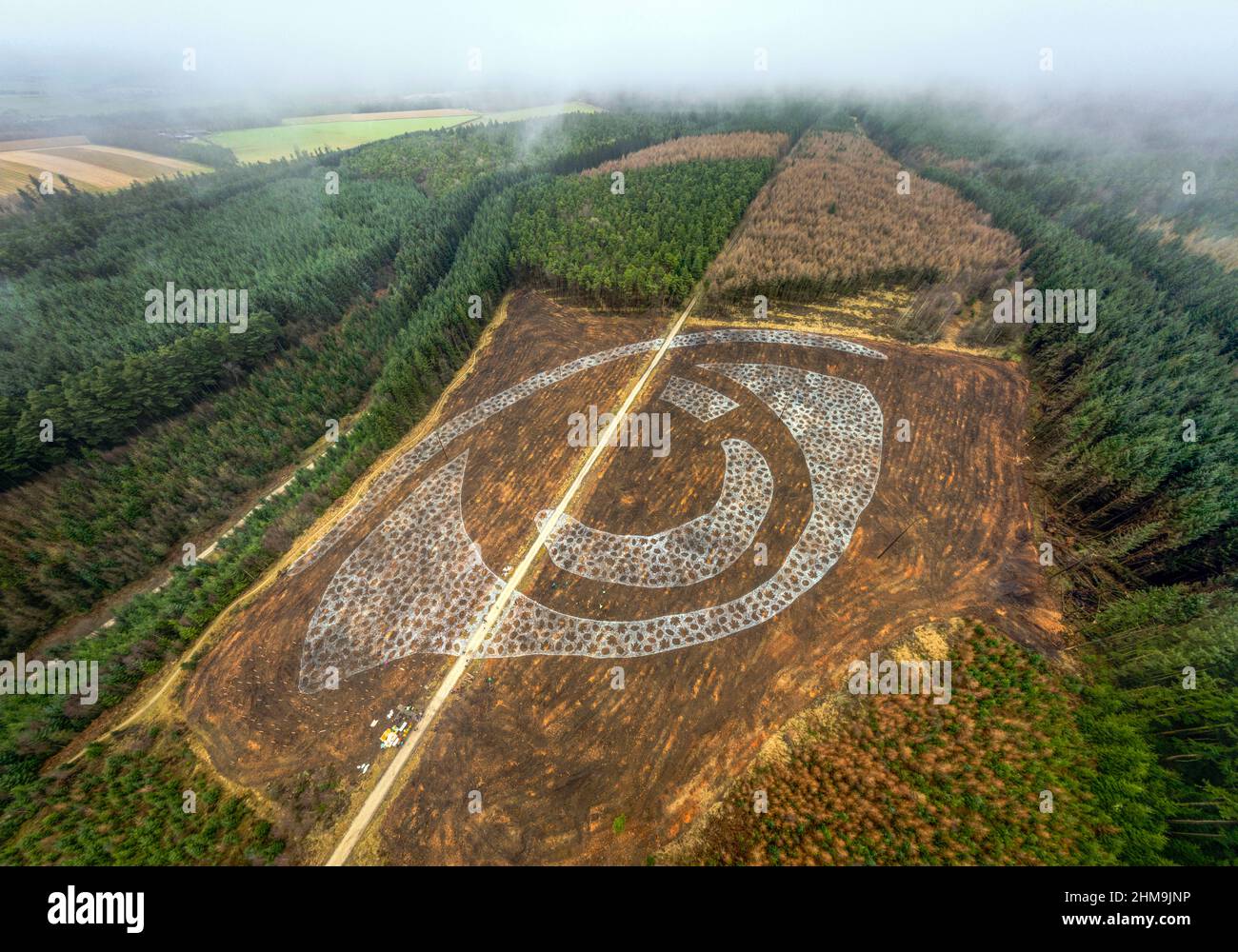 NOTA PER I REDATTORI: Questa foto è un panorama creato unendo più foto della stessa scena insieme. I membri della Selvicoltura Inghilterra, l'organizzazione artistica Sand in Your Eye, l'Agenzia ambientale e i bambini locali della scuola iniziano il processo di piantare 5.000 alberi di faggio, acero e ontano nella forma di un occhio di bambino per creare un occhio di foresta di 300 metri-largo nel cuore della foresta di Dalby in basso Dalby, Thornton-le-Dale, Pickering, North Yorkshire. Data immagine: Martedì 8 febbraio 2022. Foto Stock