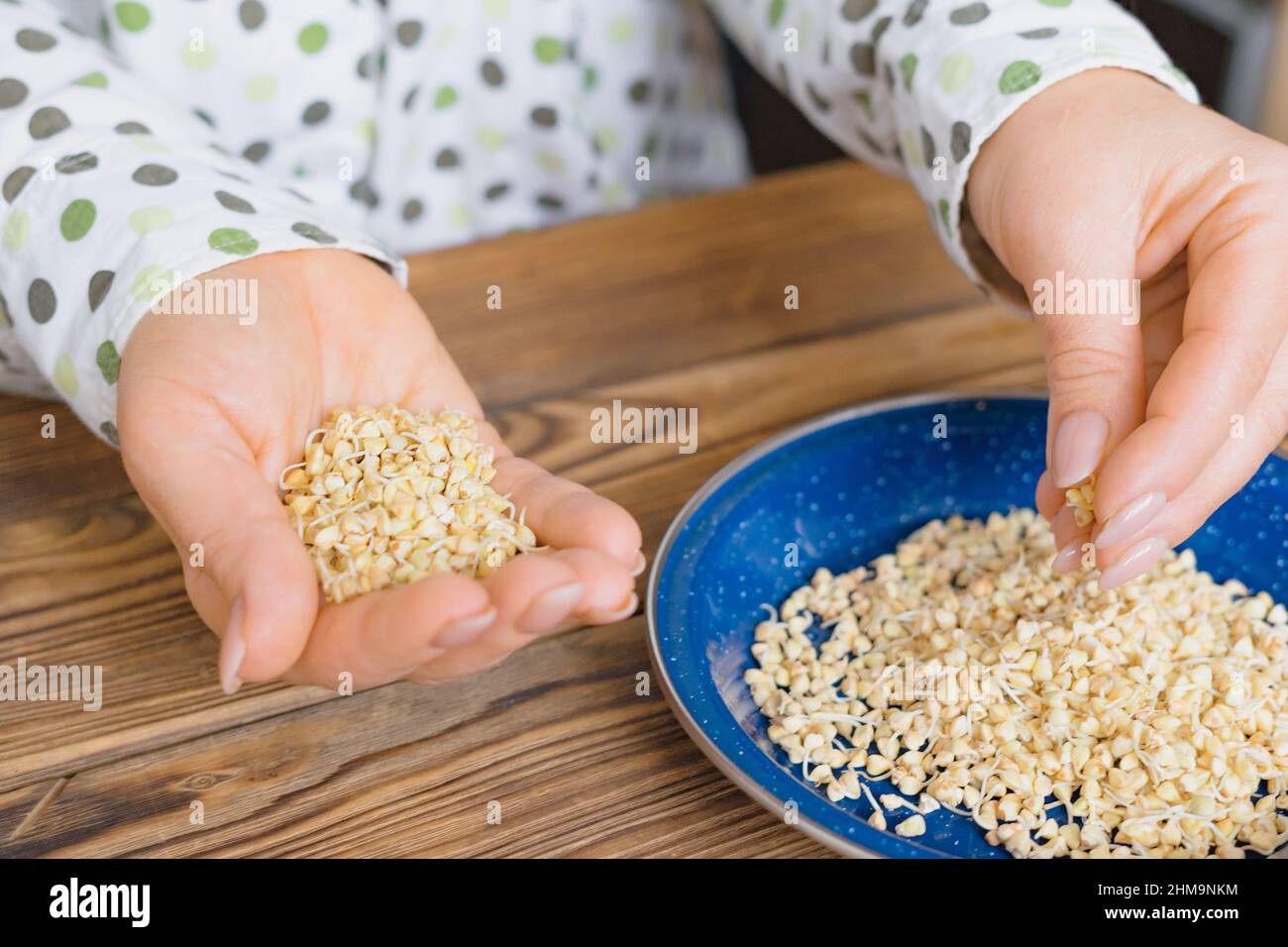 Una donna mette germogli di grano saraceno fresco verde nel suo palmo. Concetto di alimentazione biologica, cruda, vegana e sana. Profondità di campo poco profonda. Foto Stock