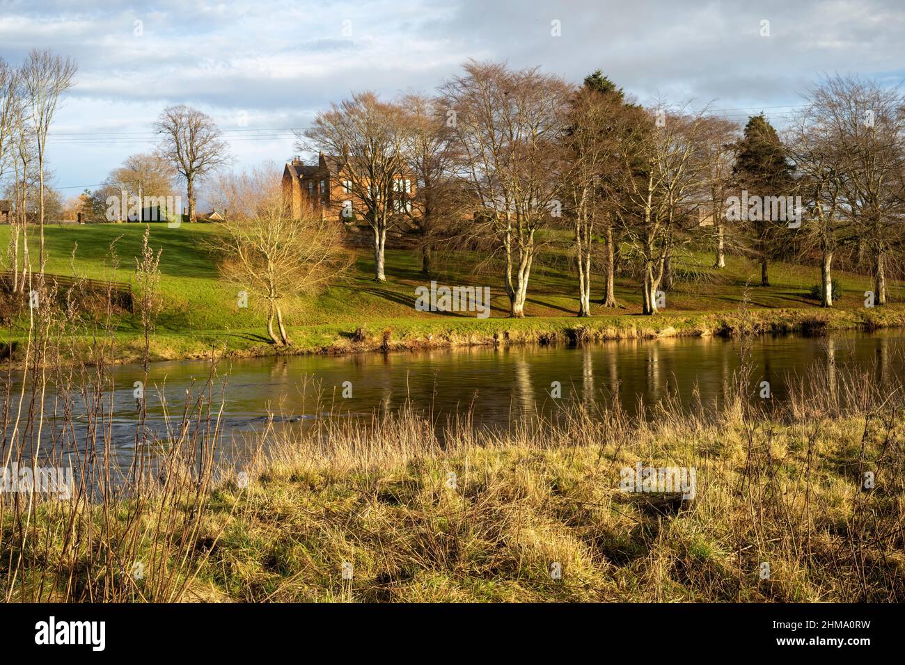 Il fiume Eden vicino all'inizio di 'la passeggiata delle Signore', Langwathby, Penrith, Cumbria Foto Stock