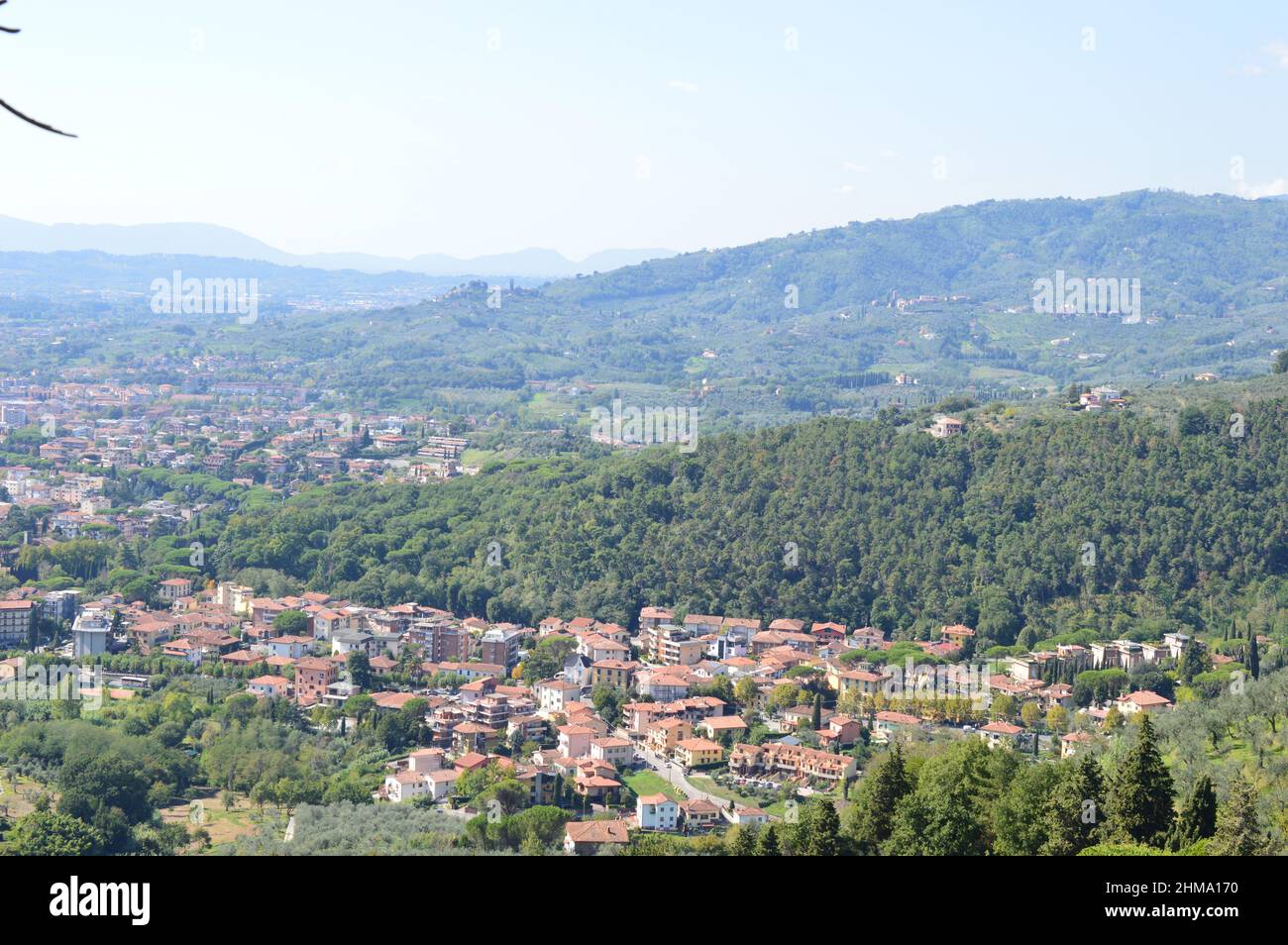 Collidi Foto Stock