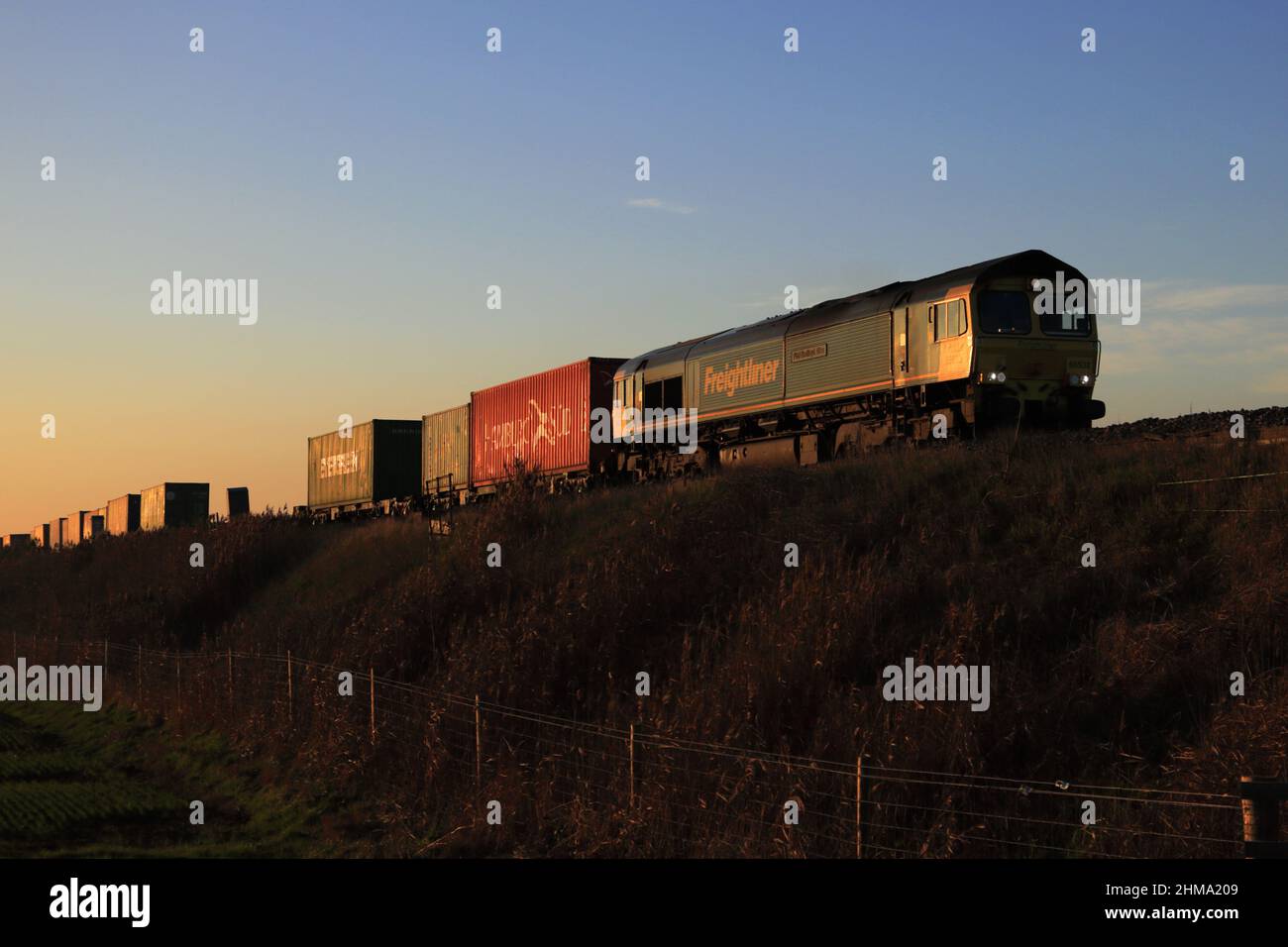 66532, Freightliner treno diesel per il trasporto merci vicino alla stazione ferroviaria cittadina di Whittlesey, Fenland, Cambridgeshire, Inghilterra Foto Stock