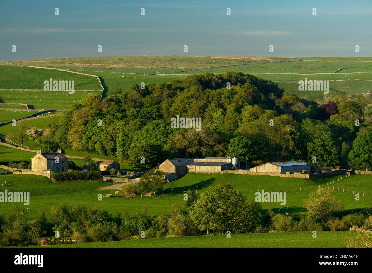 Antica fattoria e annessi nella pittoresca campagna dello Yorkshire Dales (colline ondulate, pecore nei campi, muri a secco) - Burnsall, Inghilterra Regno Unito. Foto Stock