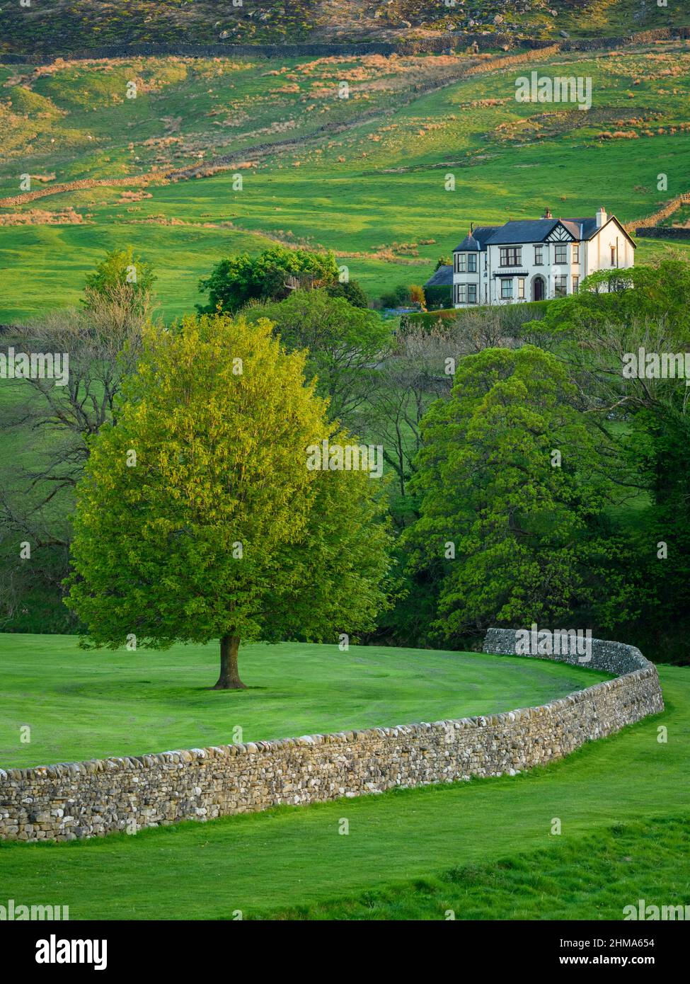 Paesaggio Wharfedale campagna (grande casa, pendii della valle, curvare muro di pietra a secco, pascoli e campi di terra verde alta) - Yorkshire Dales, Inghilterra Regno Unito. Foto Stock